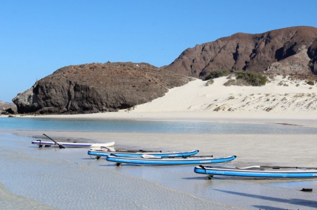 Estamos esperando tu llegada